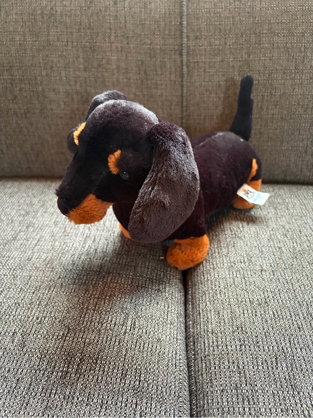 Jellycat Freddie Dachshund MED